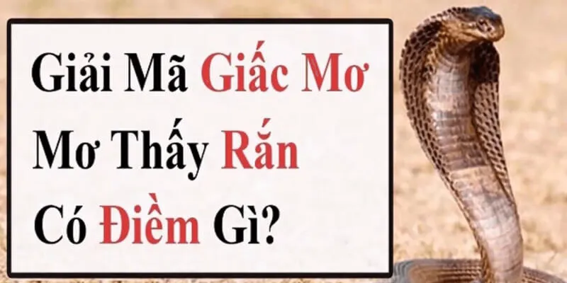 lô đề con rắn